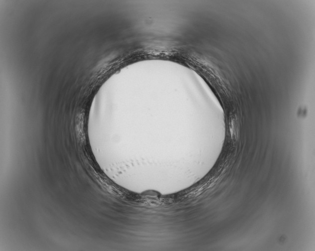 X0000096431396200802211135