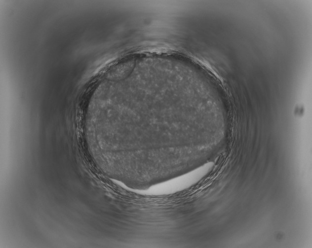 X0000096431399200802211136