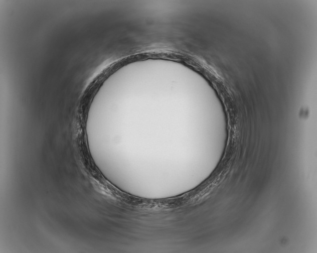 X0000096431400200802211136
