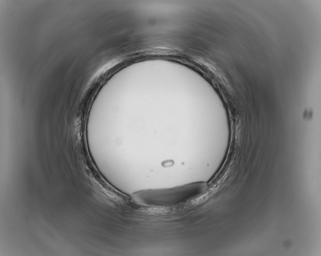 X0000096431402200802211136