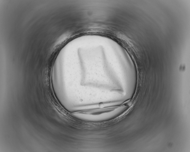 X0000096431403200802211136
