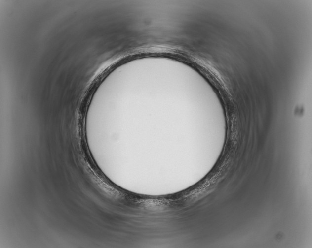 X0000096431404200802211136