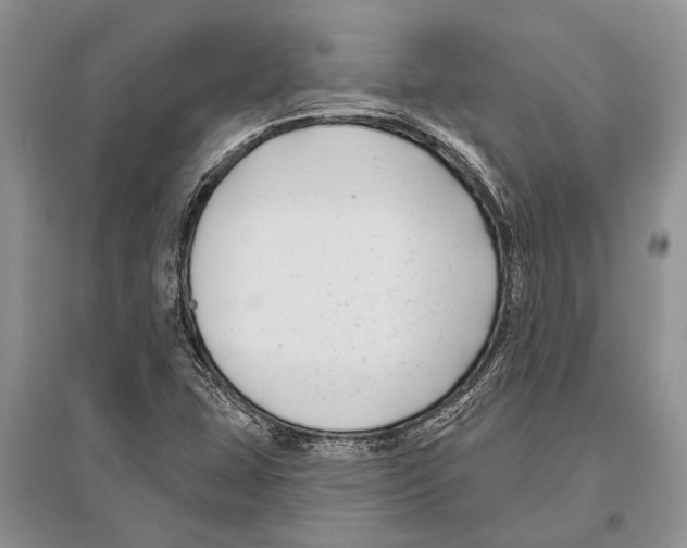 X0000096431407200802211136