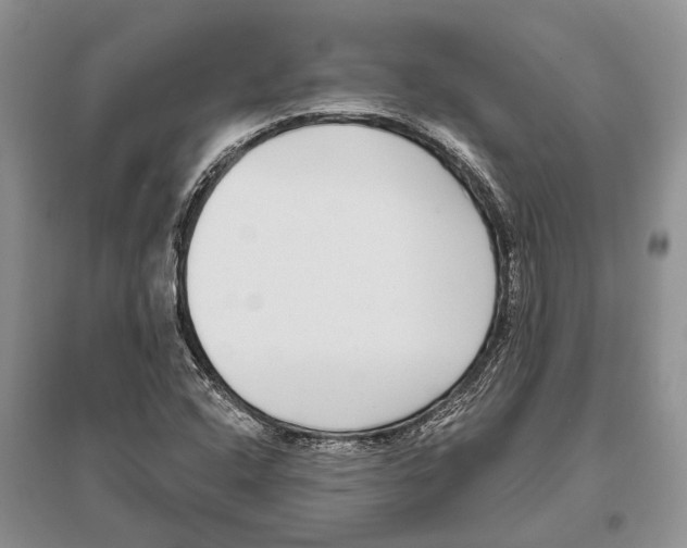 X0000096431408200802211136