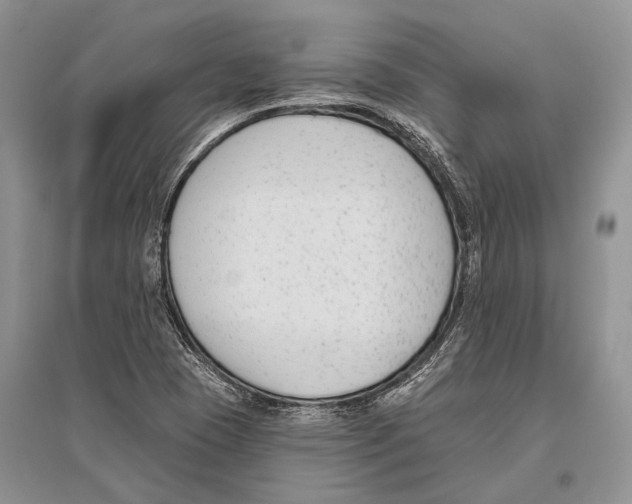 X0000096431409200802211136