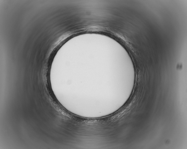 X0000096431410200802211136