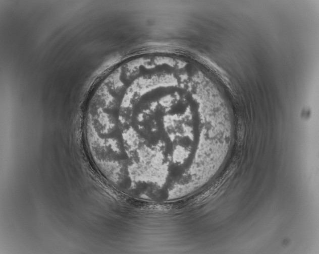X0000096431411200802211136