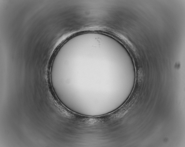 X0000096431412200802211136