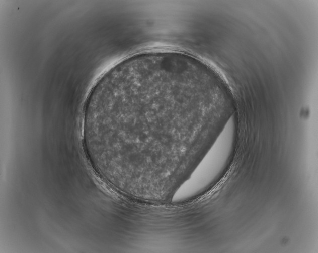 X0000096431413200802211136