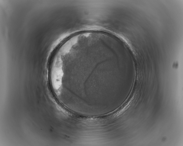 X0000096431414200802211136