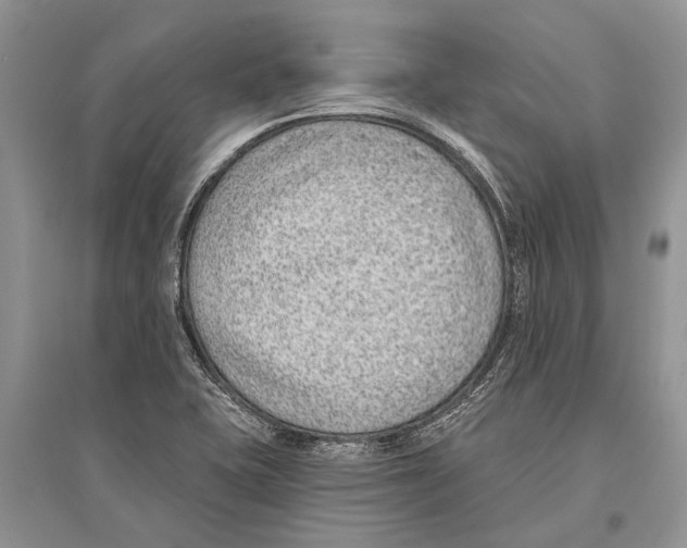 X0000096431415200802211136