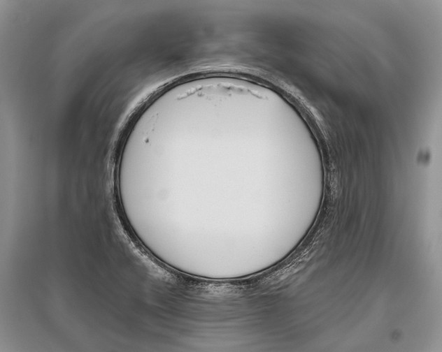 X0000096431416200802211136