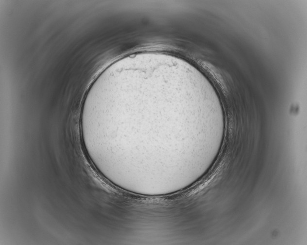 X0000096431417200802211136