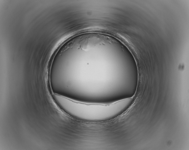 X0000096431418200802211136