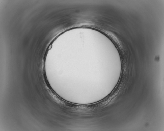 X0000096431420200802211136