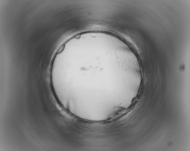 X0000096431421200802211136
