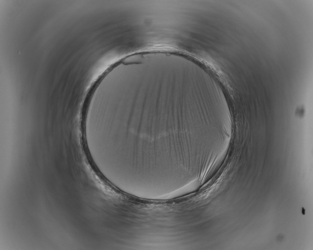 X0000096431422200802211136