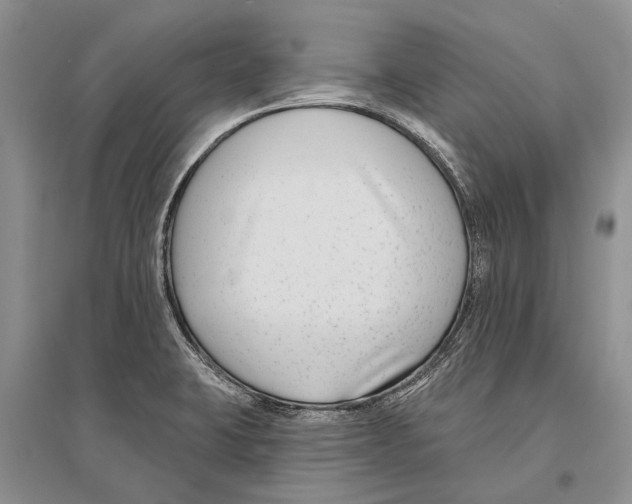 X0000096431423200802211136