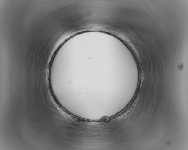 X0000096431424200802211136