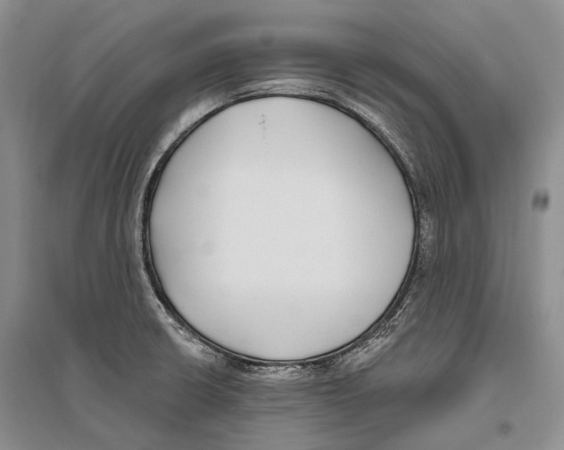 X0000096431426200802211136
