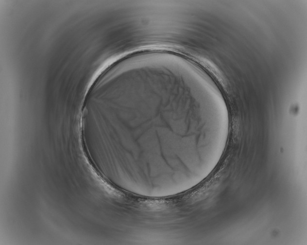 X0000096431428200802211136