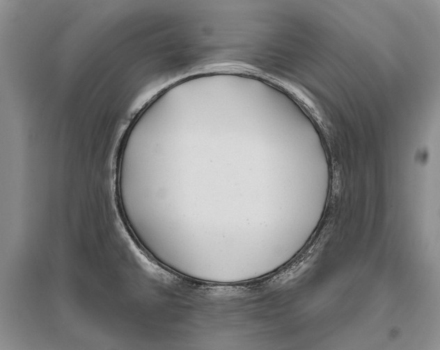X0000096431430200802211136