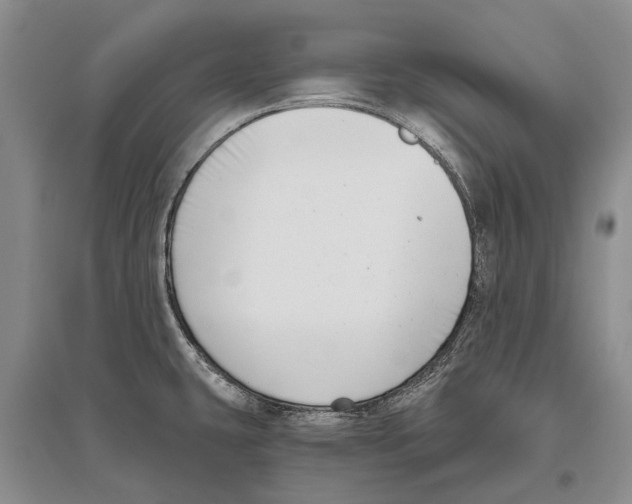 X0000096431431200802211136