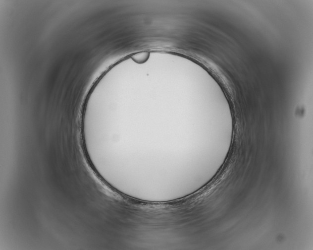 X0000096431432200802211136