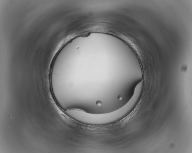 X0000096431434200802211136
