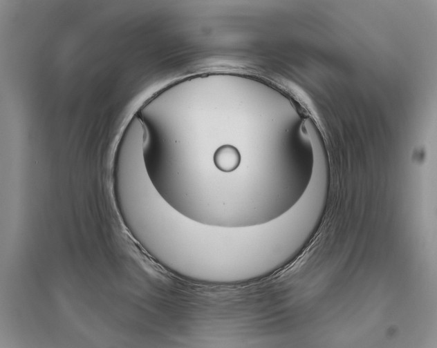 X0000096431435200802211136