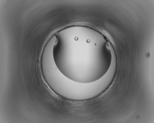 X0000096431436200802211136