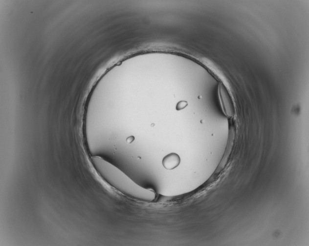 X0000096431437200802211136