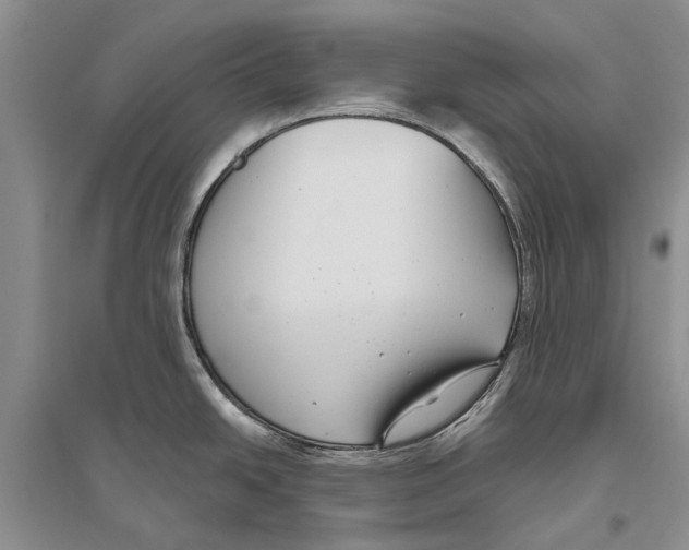 X0000096431438200802211136