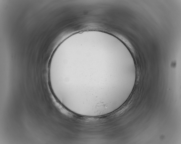X0000096431439200802211136