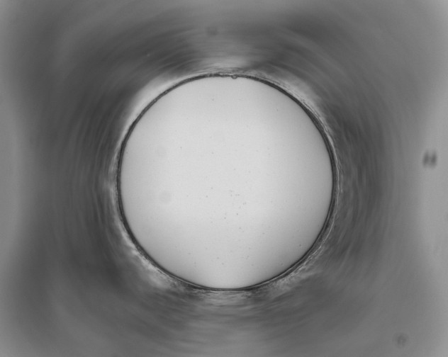 X0000096431440200802211136