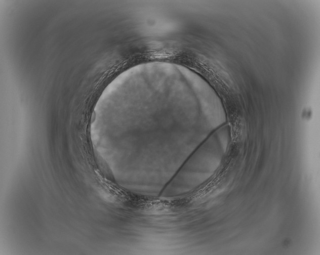 X0000096431441200802211135