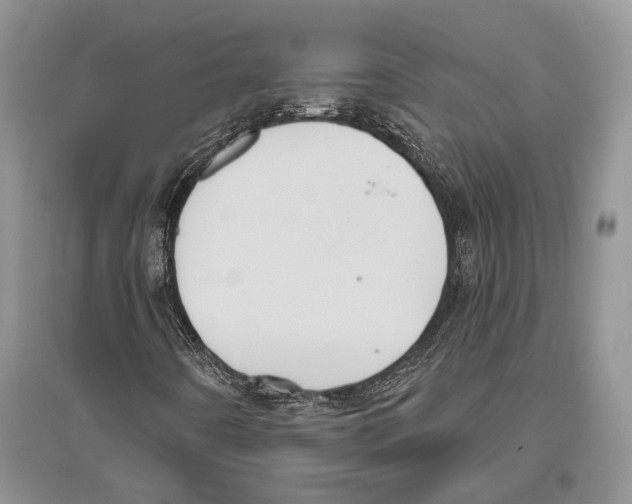 X0000096431442200802211135