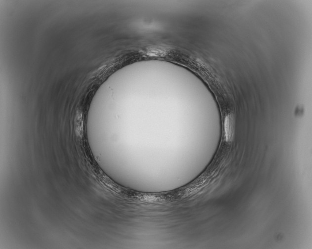 X0000096431443200802211135