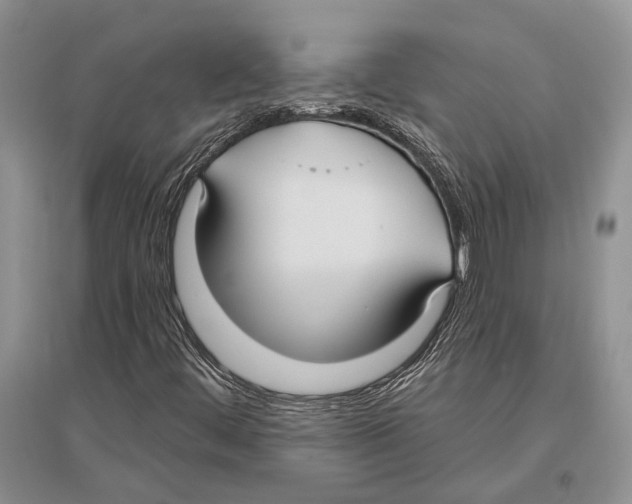 X0000096431444200802211135