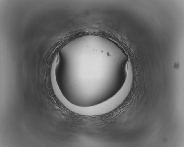 X0000096431445200802211135