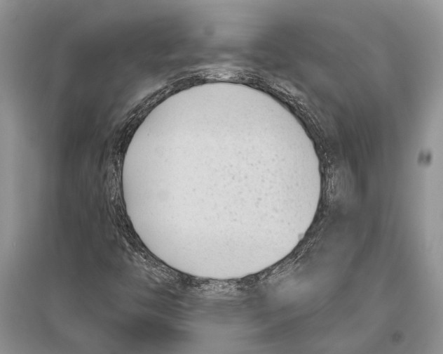 X0000096431446200802211135
