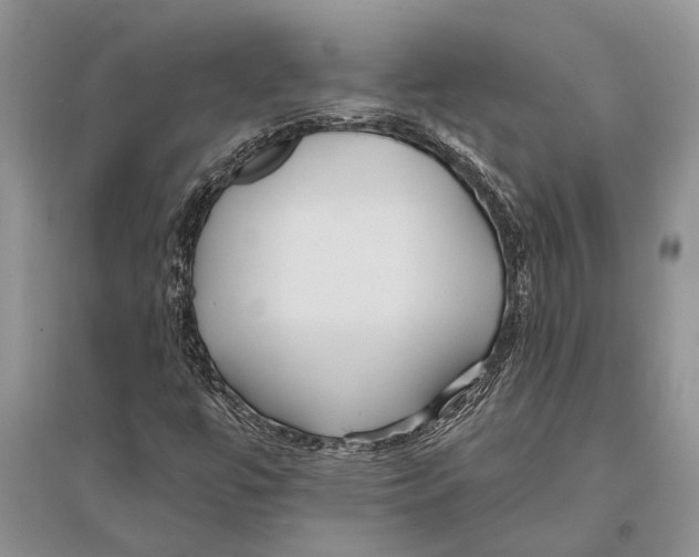 X0000096431447200802211135