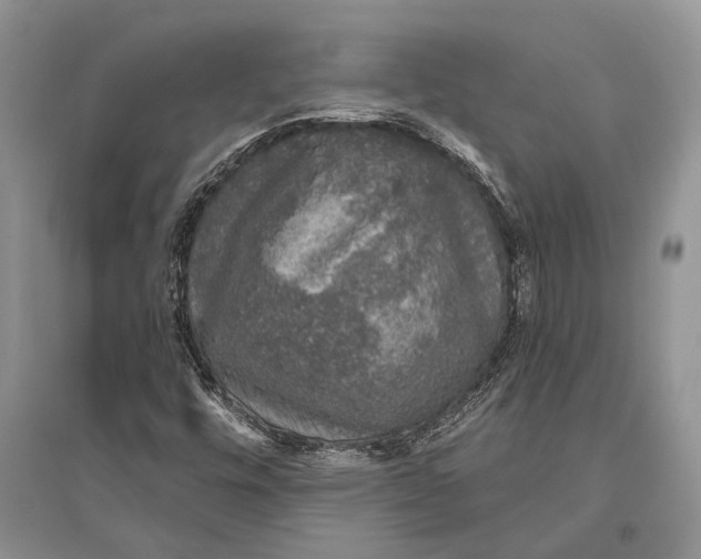 X0000096431448200802211135