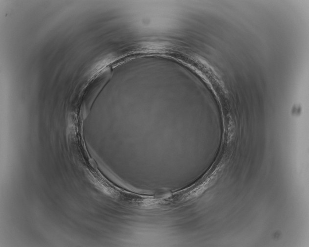 X0000096431449200802211135