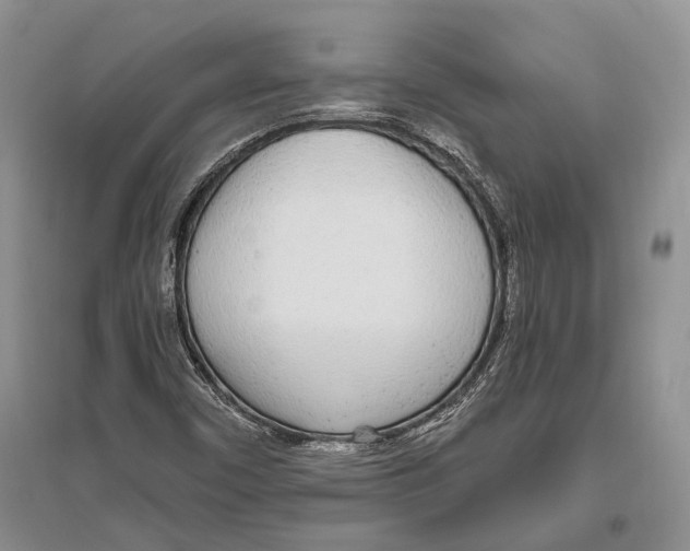 X0000096431450200802211135