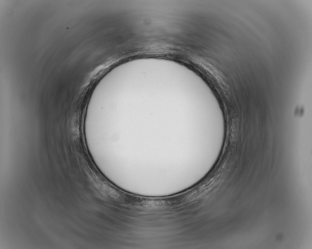 X0000096431451200802211135