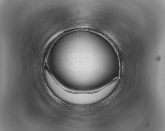 X0000096431452200802211135