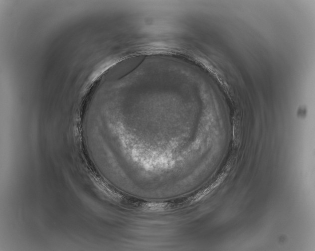 X0000096431453200802211135