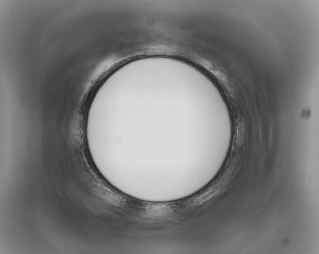 X0000096431454200802211135