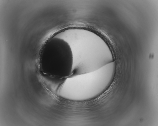 X0000096431455200802211135